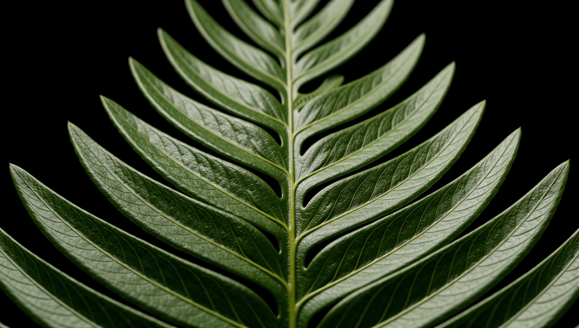 Tropical texture background