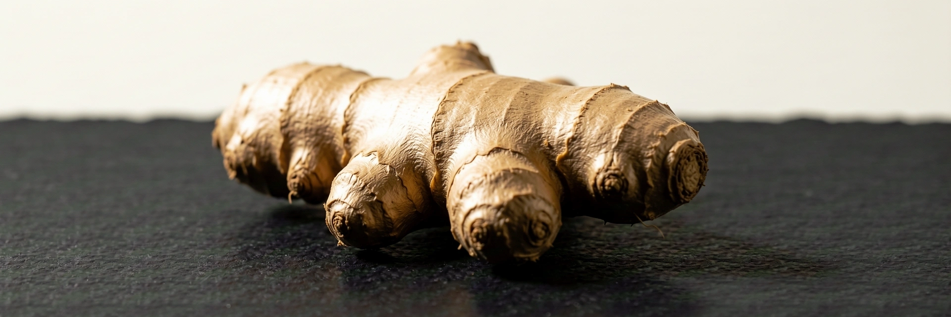 Botanical Specimen Ginger